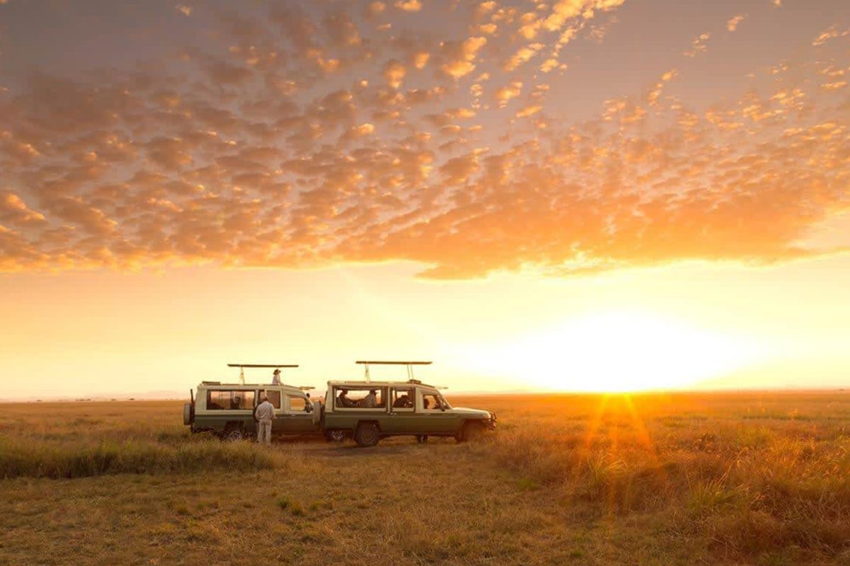 Serengeti Migration Safari