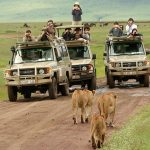 Tanzania National park