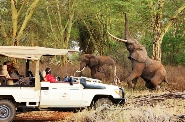 Tsavo West National Park
