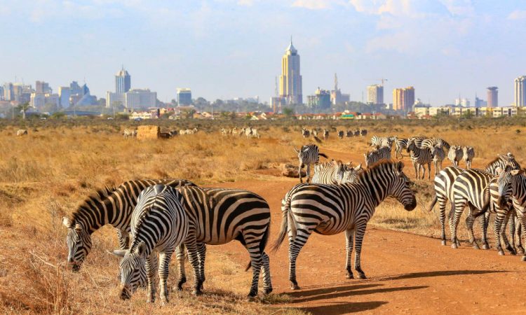 Nairobi National Park