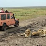 6-Day Majestic Tanzania