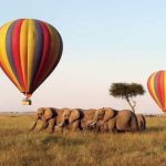 12 Days Kenya Photography Expedition