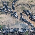 Best Time to See the Migration in Tanzania & Kenya