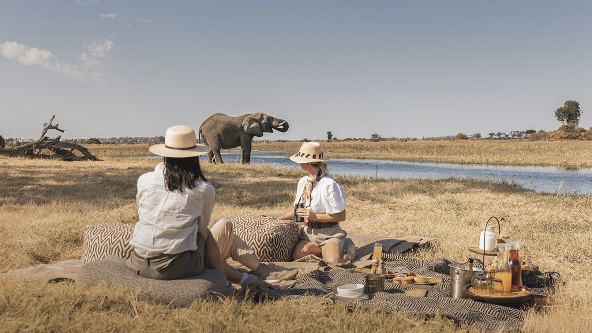 When to Visit East Africa for a Safari